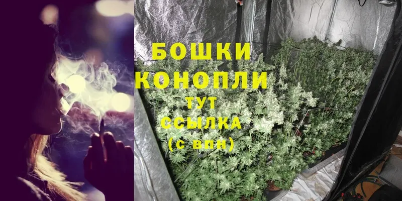 цены   Советская Гавань  Шишки марихуана SATIVA & INDICA 